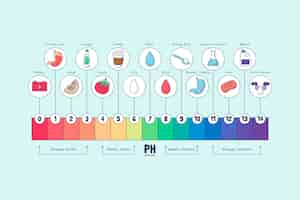 무료 벡터 손으로 그린 ph 척도 infographic