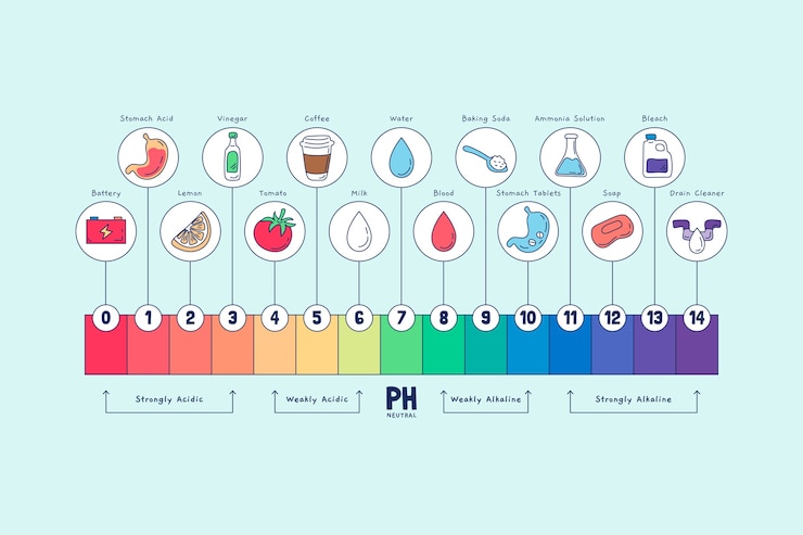 Free Vector hand drawn ph scale infographic