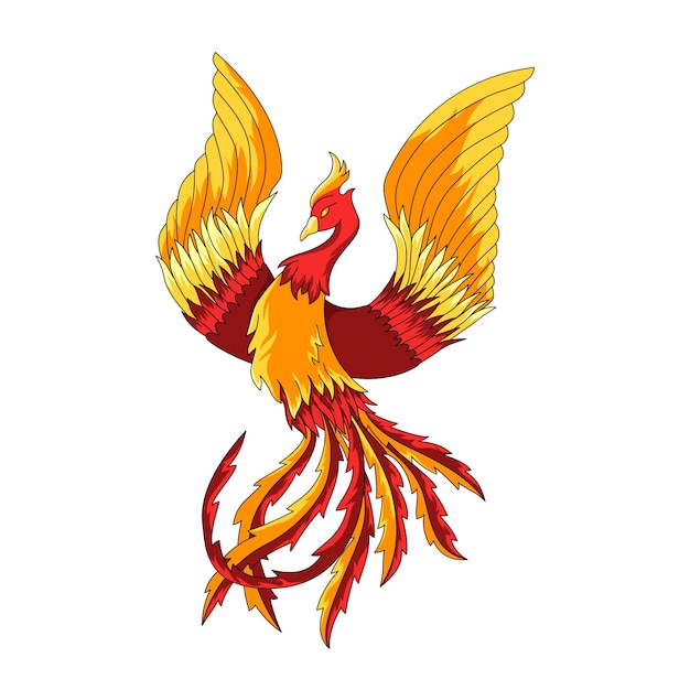 Hand drawn phoenix illustration