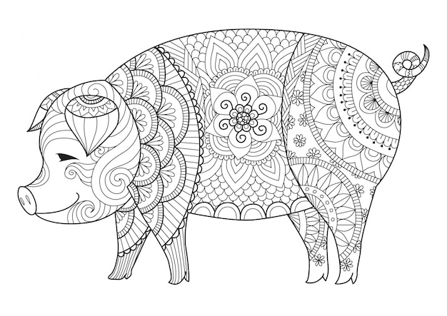 Hand drawn pig background