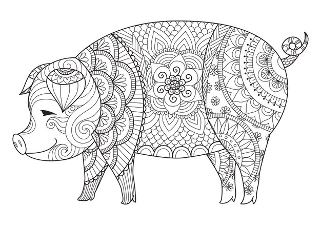 Hand drawn pig background