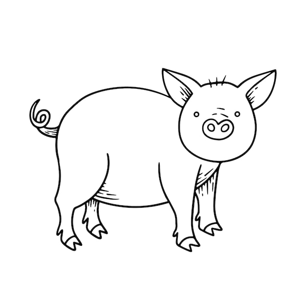 Hand drawn pig outline illustration