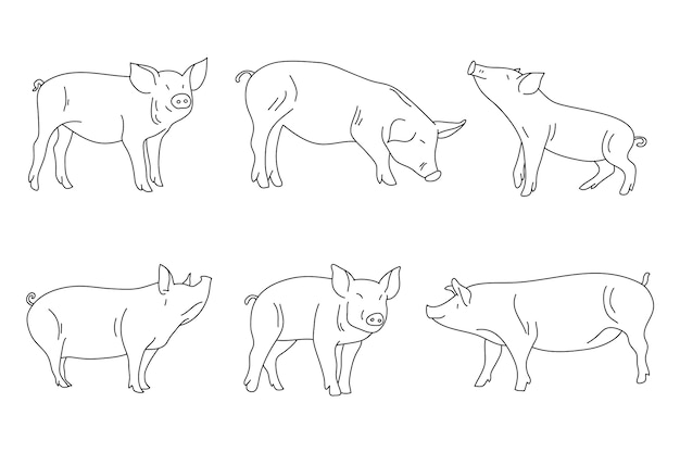 Free vector hand drawn pig outline illustration