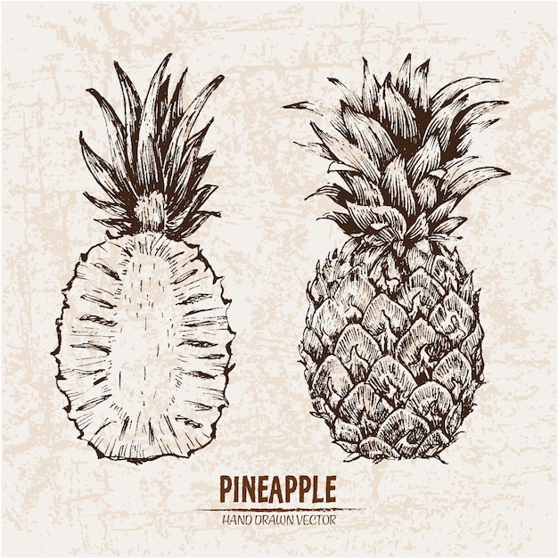 Free vector hand drawn pineapple collection
