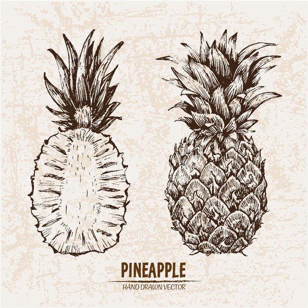 Hand drawn pineapple collection