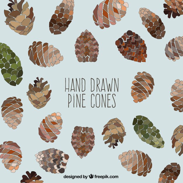 Hand drawn pinecones