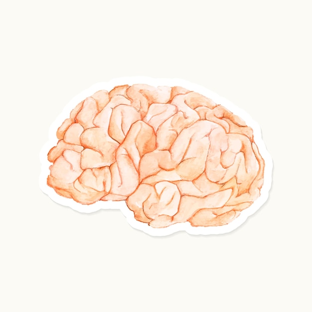 Free vector hand drawn pink brain sticker vector