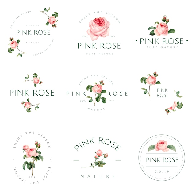 Hand Drawn Pink Rose Emblem Vector Set