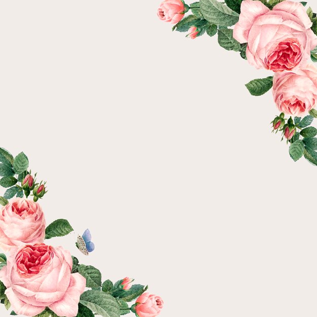 Hand drawn pink roses frame on beige background vector