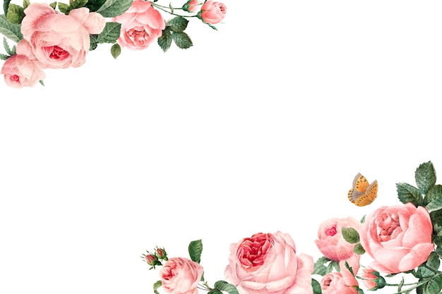 白い背景のベクトルに手描きのピンクのバラのフレーム