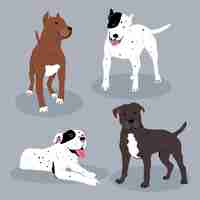 Free vector hand drawn pitbull illustrated collection