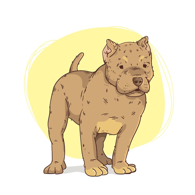 Hand drawn pitbull illustration