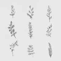 Free vector hand drawn plants collection vector