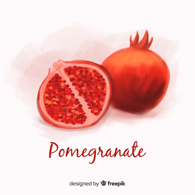 Hand drawn pomegranate background