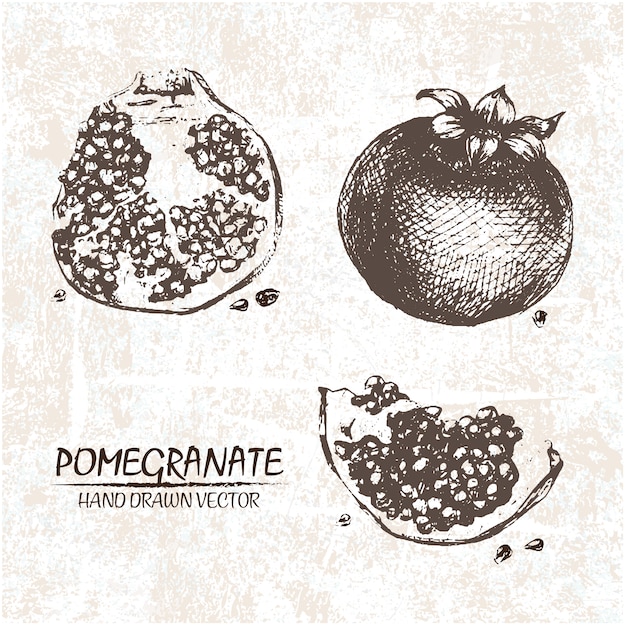 Free vector hand drawn pomegranate design