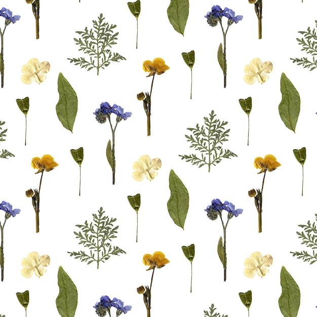 Hand drawn pressed flowers pattern