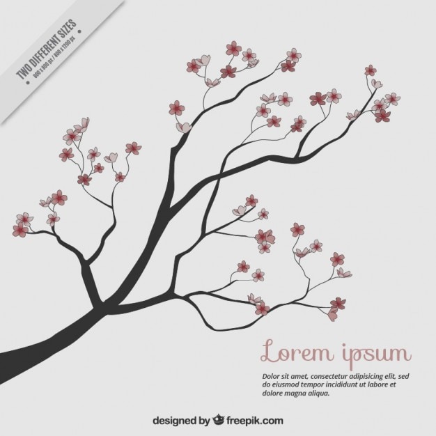 Free Vector hand drawn pretty cherry tree in springtime