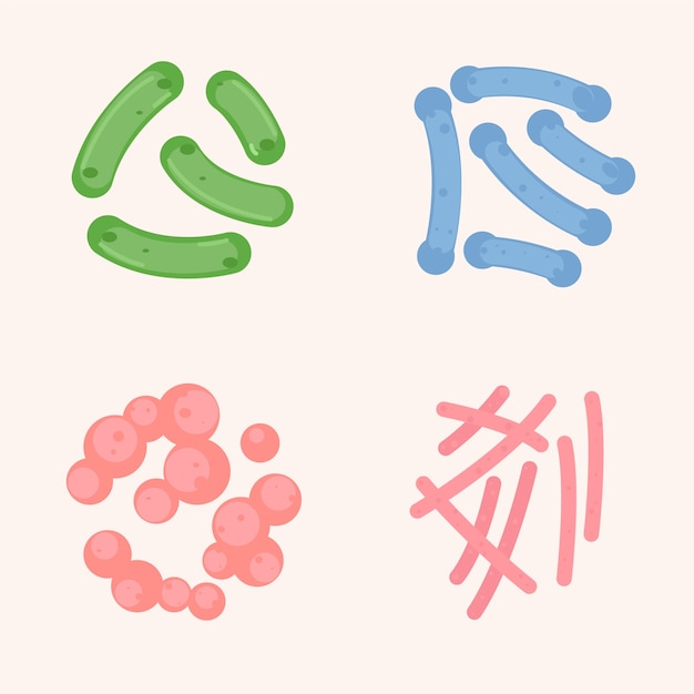 Hand drawn probiotics and prebiotics illustration