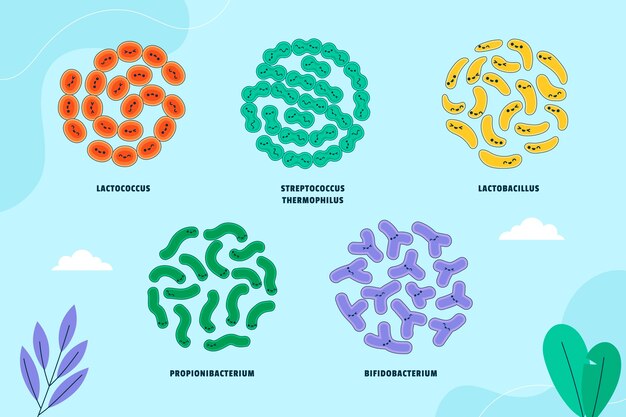 Hand drawn probiotics and prebiotics illustration