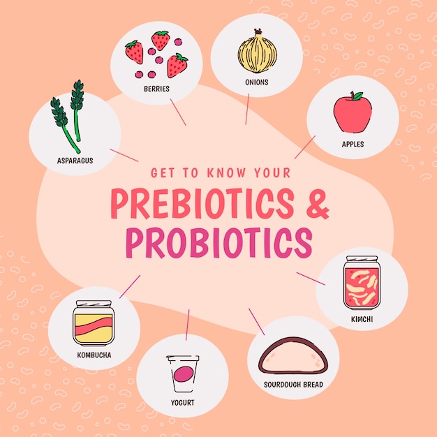 Vettore gratuito infografica di probiotici e prebiotici disegnati a mano