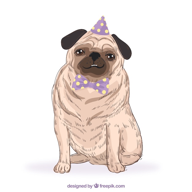 Free vector hand drawn pug with party hat