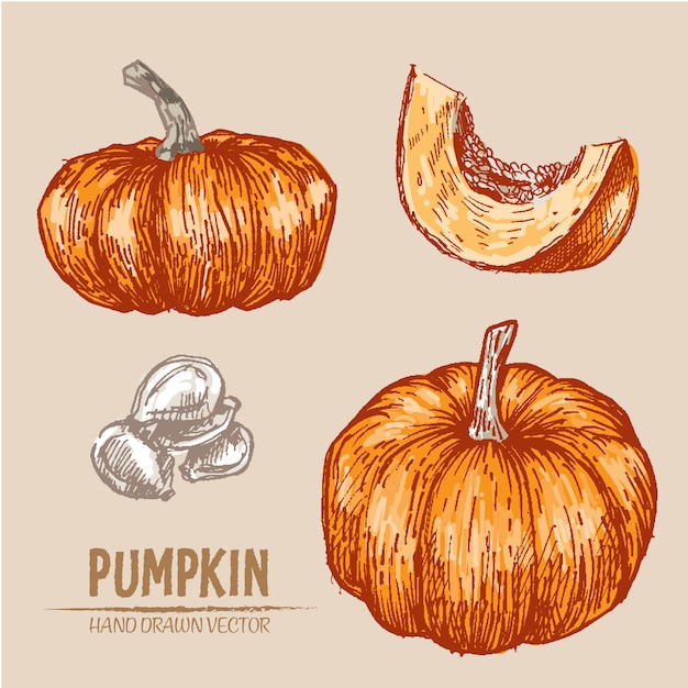 Free vector hand drawn pumkin background