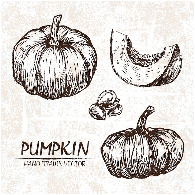 Free vector hand drawn pumpkin design