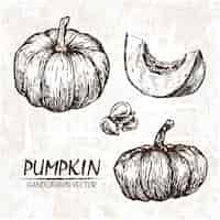 Free vector hand drawn pumpkin design