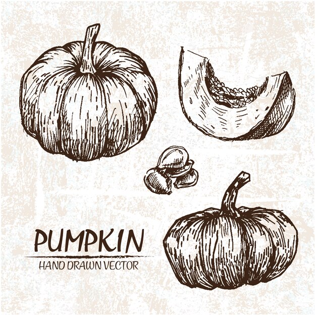 Hand drawn pumpkin design