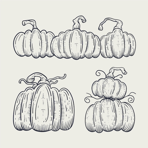 Free vector hand drawn pumpkin drawing element
