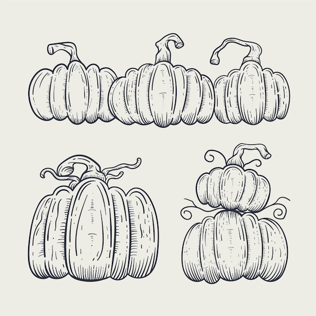 Vettore gratuito elemento di disegno zucca disegnato a mano