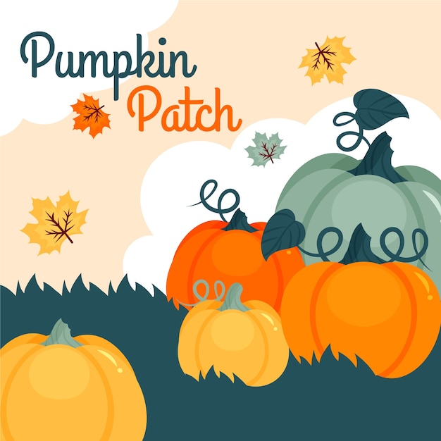 pumpkin patch