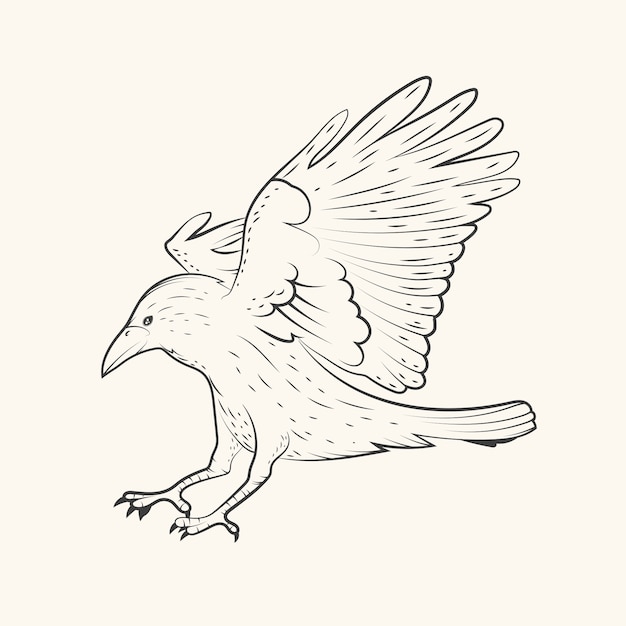 Free vector hand drawn raven  flying drawing illustration