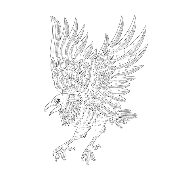 Hand drawn raven flying drawing illustration