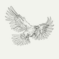 Бесплатное векторное изображение Иллюстрация летающего ворона, нарисованная вручную