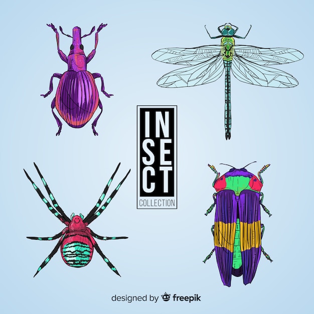 Hand drawn realistic insect pack