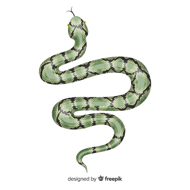 手描きのリアルなヘビのイラスト プレミアムベクター