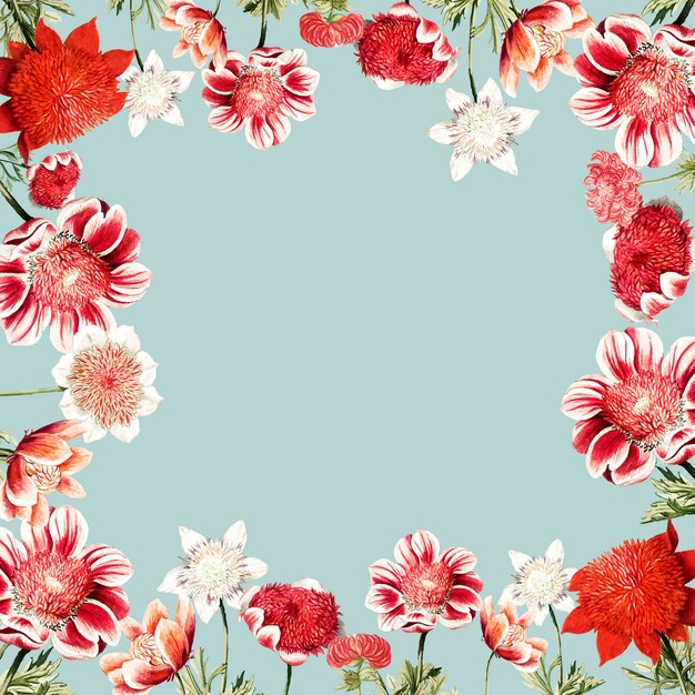 Hand drawn red anemone flower frame with design space