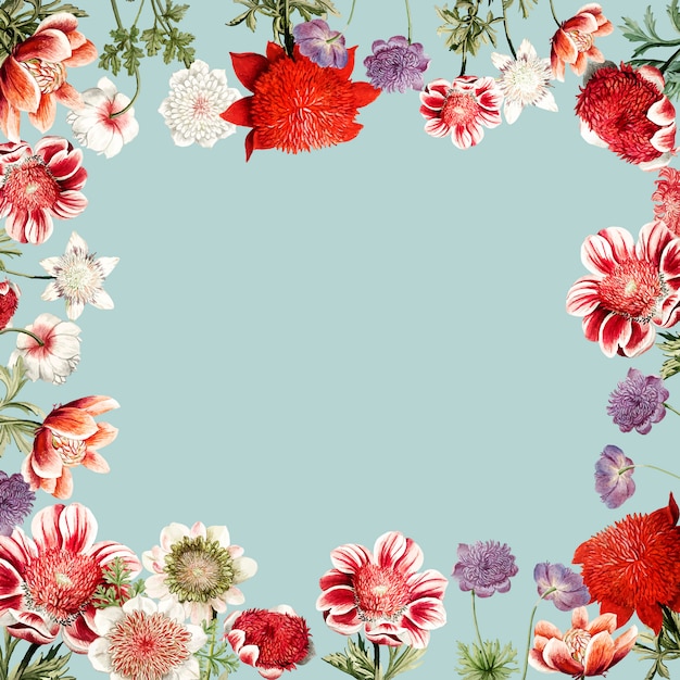 Free vector hand drawn red anemone flower frame with design space