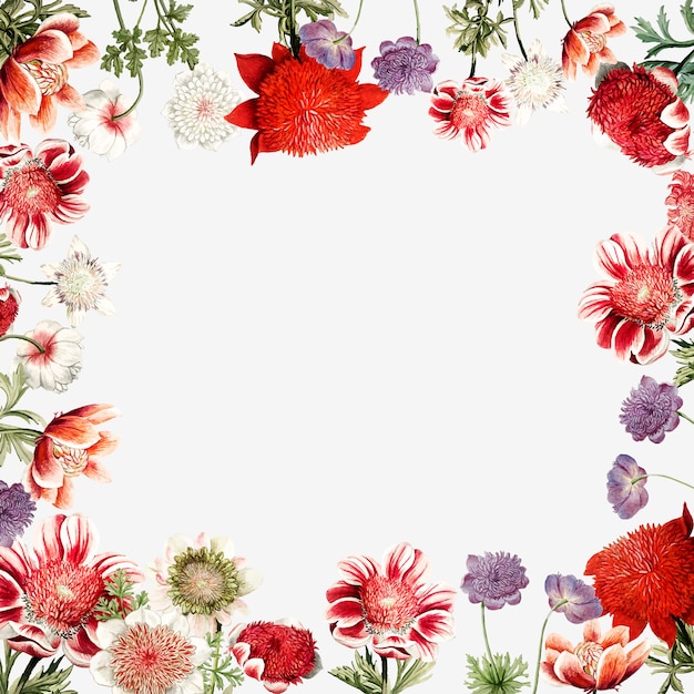 手描きの赤いアネモネの花のフレームデザインスペース