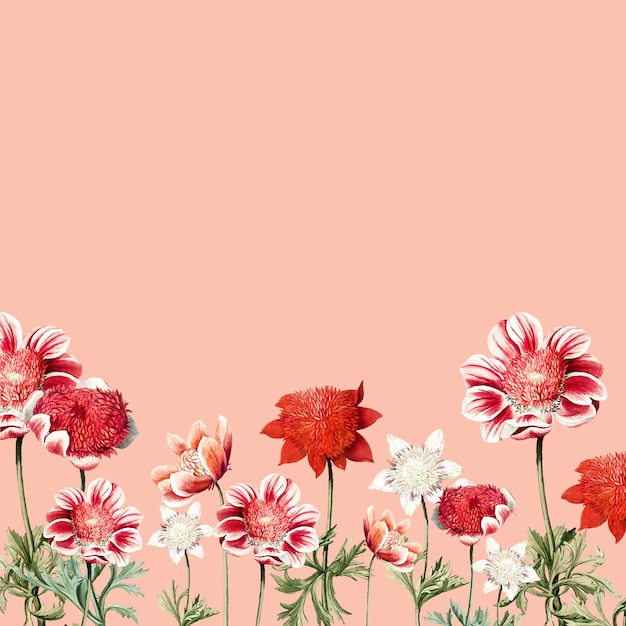 Free vector hand drawn red and white anemone flower frame