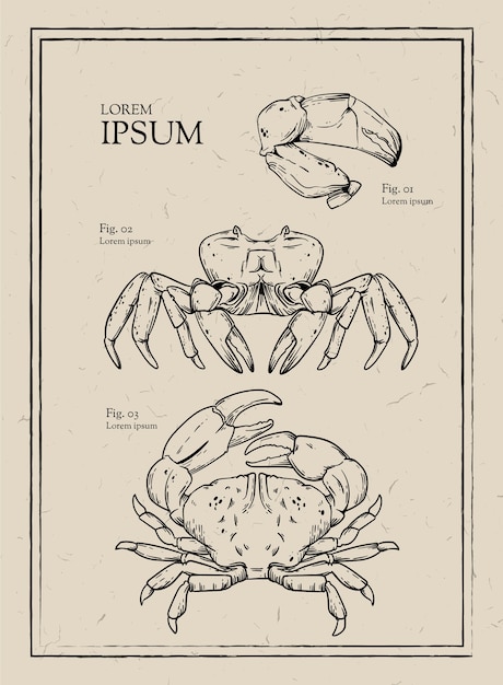 Vettore gratuito illustrazione animale retrò disegnata a mano