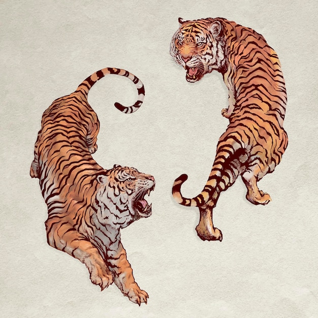 Hand drawn roaring yin yang tigers