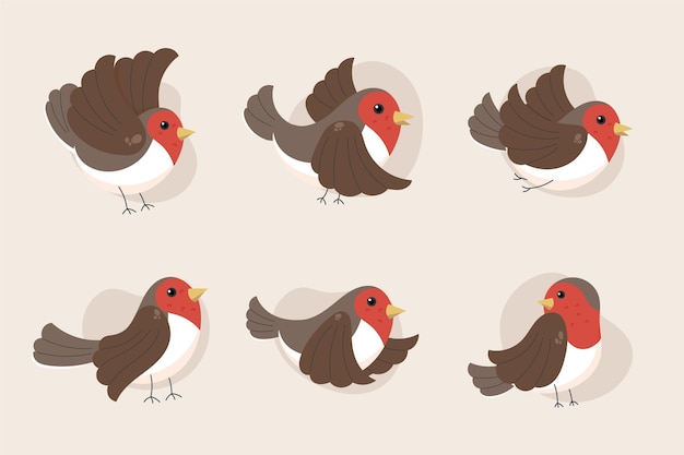 Free vector hand drawn robin collection