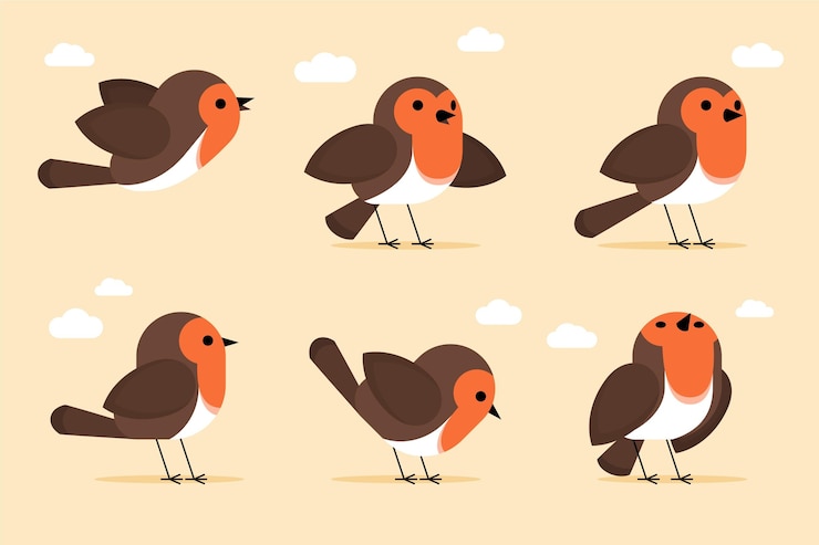 Free Vector hand drawn robin collection