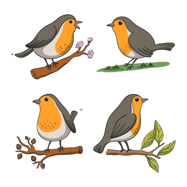 Hand drawn robin collection