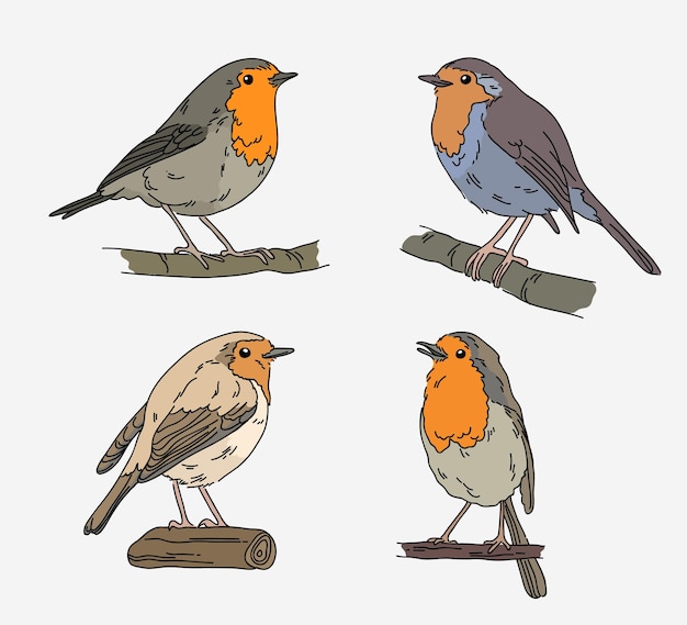Hand drawn robin collection