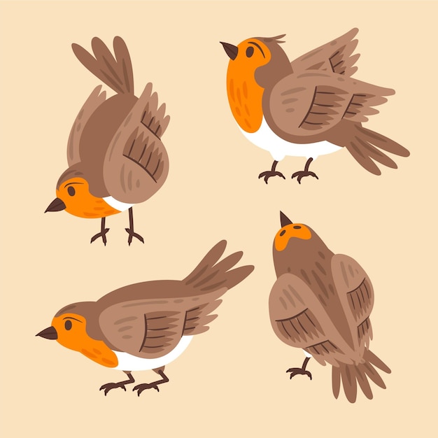 Free vector hand drawn robin collection