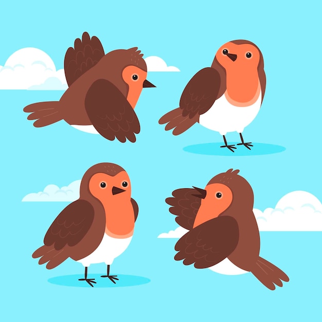 Free vector hand drawn robin collection