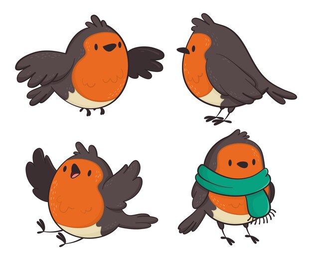 Hand drawn robin collection